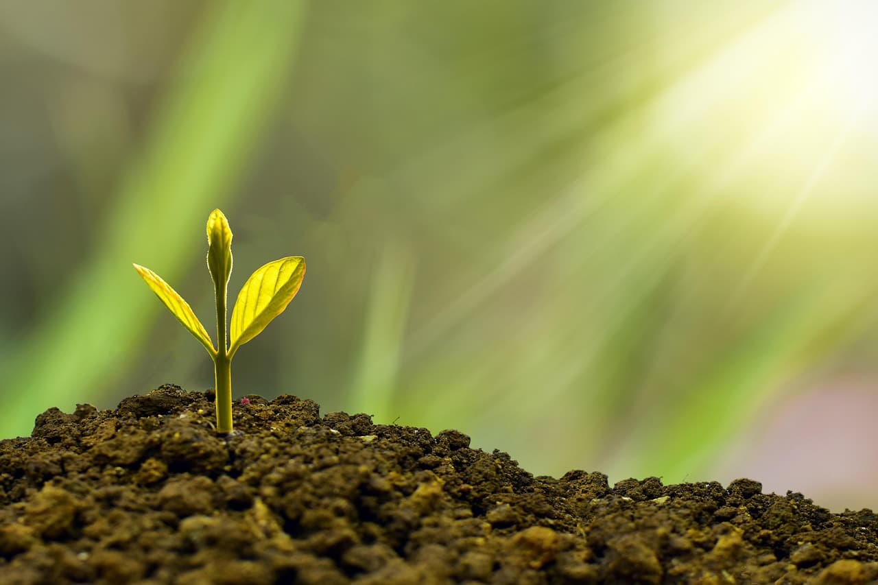 مفهوم اللوجستيات الخضراء يظهر نقل البضائع الصديق للبيئة وأيقونات الطاقة المتجددة.